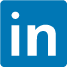 LinkedIn Icon